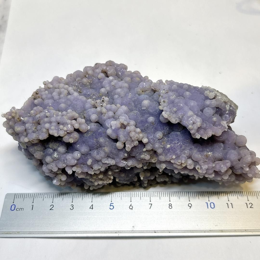 ぶどう グレープ