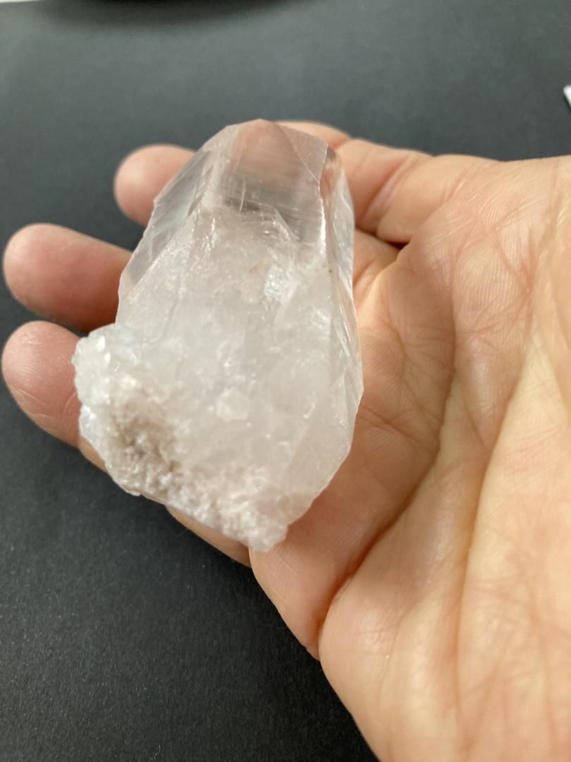 ぽんぽん♪ ヒマラヤクラスター A1168、A1244、A1185 ぽんぽん