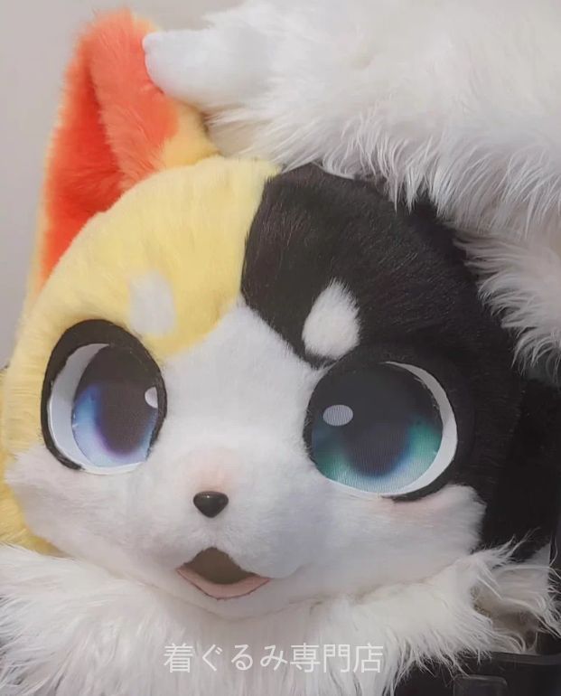 猫 着ぐるみ ケモノ体 スーツ セット猫 全頭ヘッド ファースーツ ぬいぐるみ マスク コスプレ コスチューム 一点物 A2