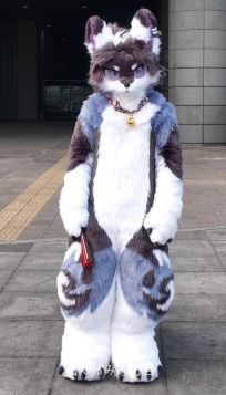 オオカミ 着ぐるみ ケモノ体 スーツ セット 全頭ヘッド ファースーツ