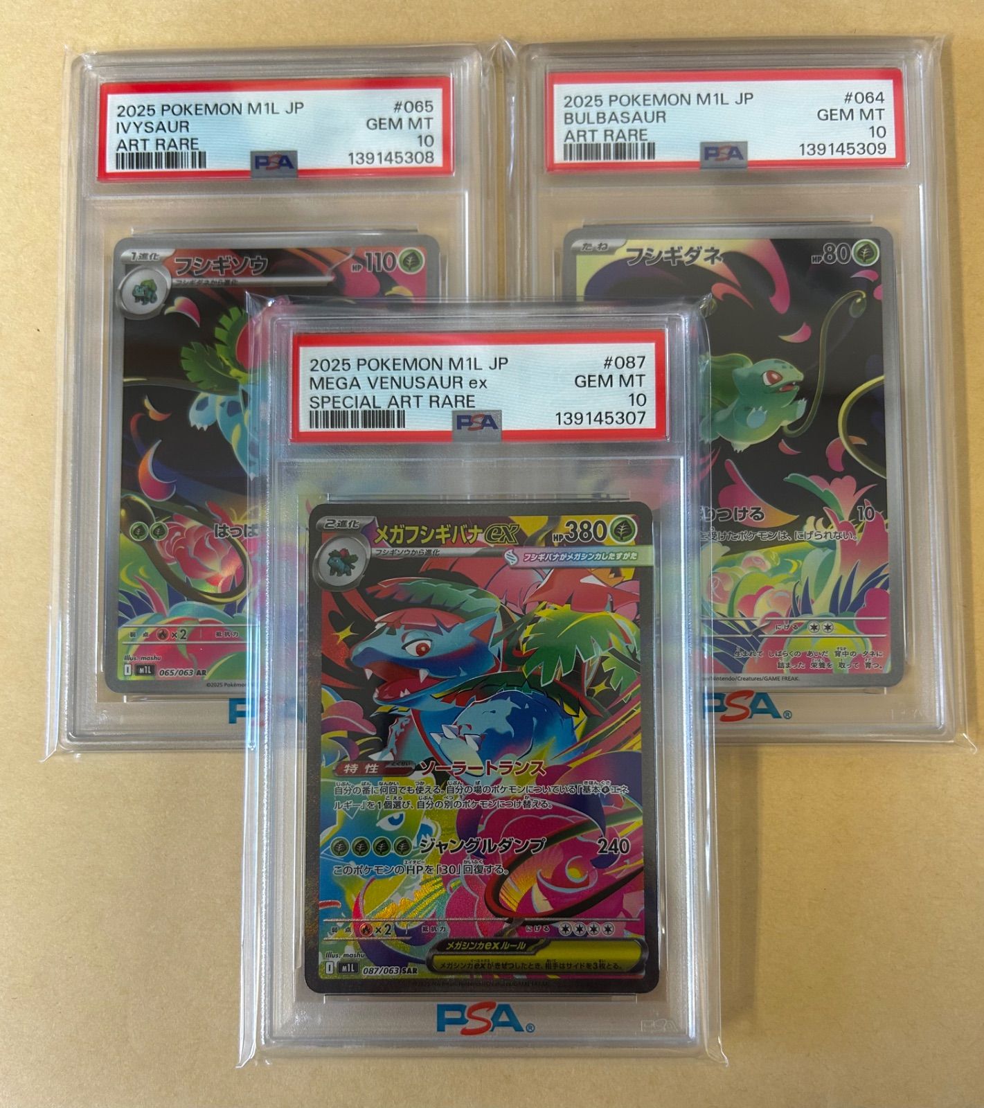 3連番 PSA 10 メガフシギバナex SAR M 1 L 087 フシギソウ AR 065 フシギダネ 064 進化アート ポケカ ポケモンカード