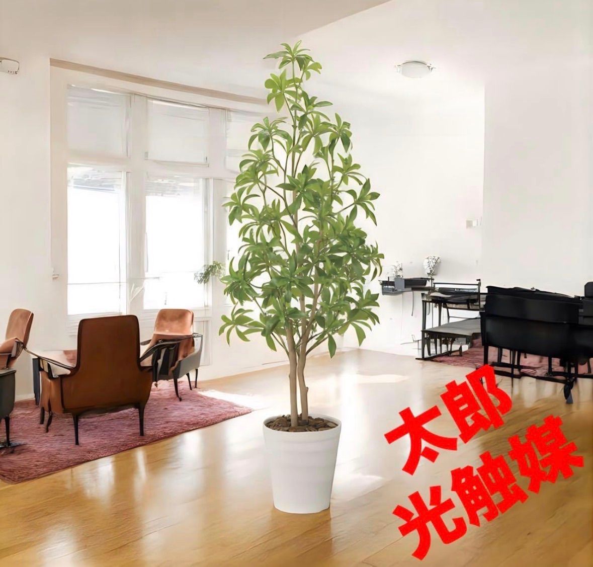 光触媒 人工観葉植物 ウォールグリーン フェイクグリーン フレッシュ