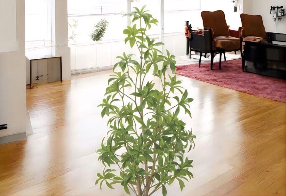 光触媒 人工観葉植物 ウォールグリーン フェイクグリーン フレッシュ