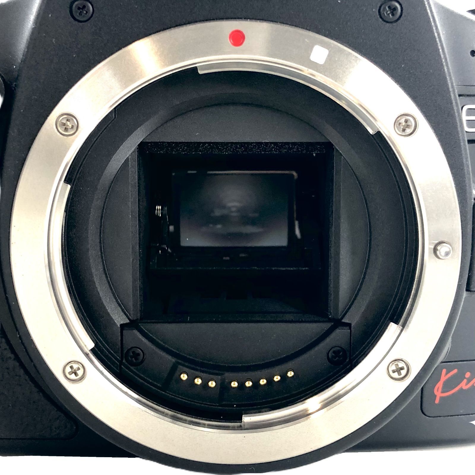 CANON キヤノン EOS Kiss x3 レンズ 55-250mm 1:4-5.6 Φ58mm デジタル