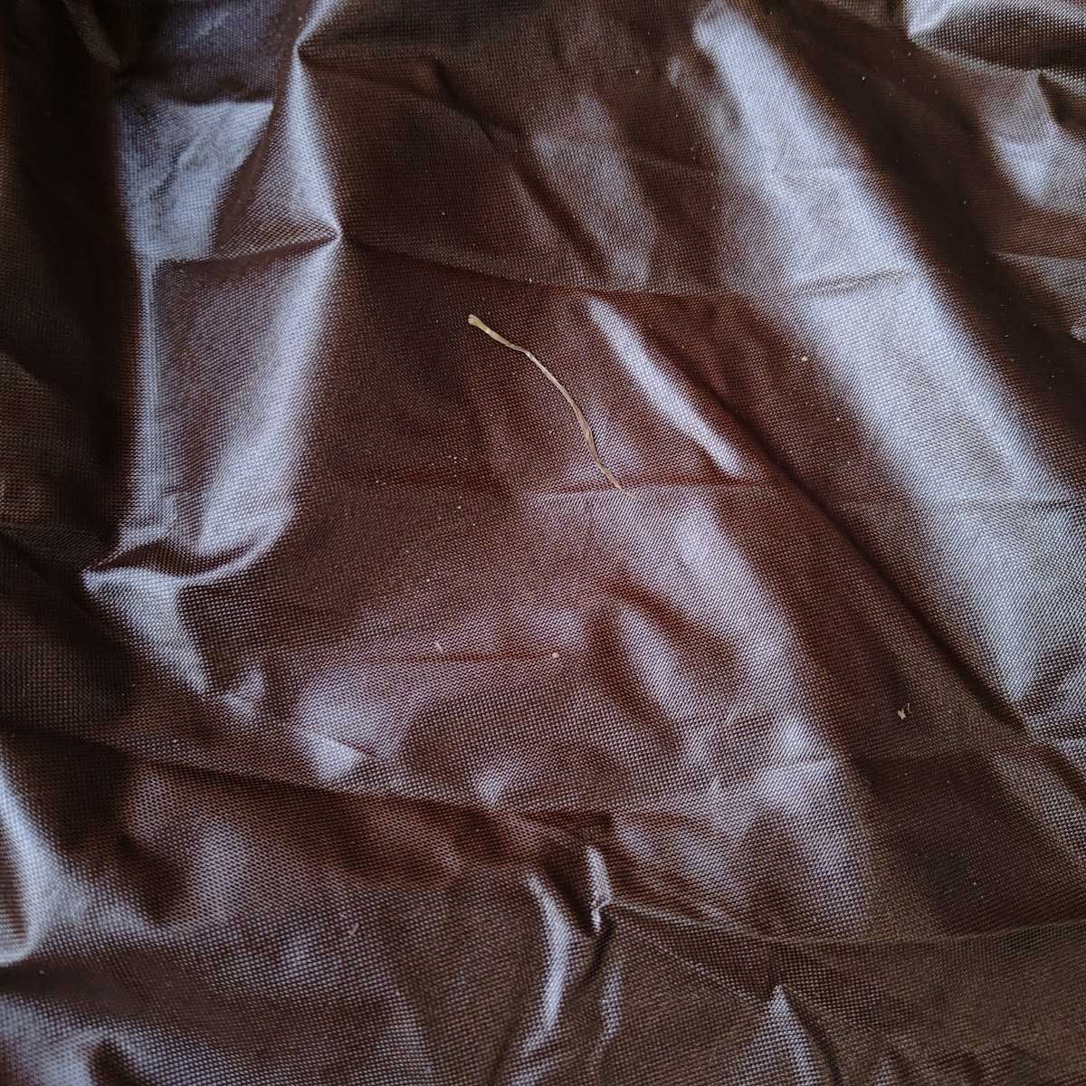  スノーピーク グランベルク L インナーマット付 グレー TP 782 Snow Peak 大型 テント シェルター アウトドア キャンプ キャンプテント テント シェルター