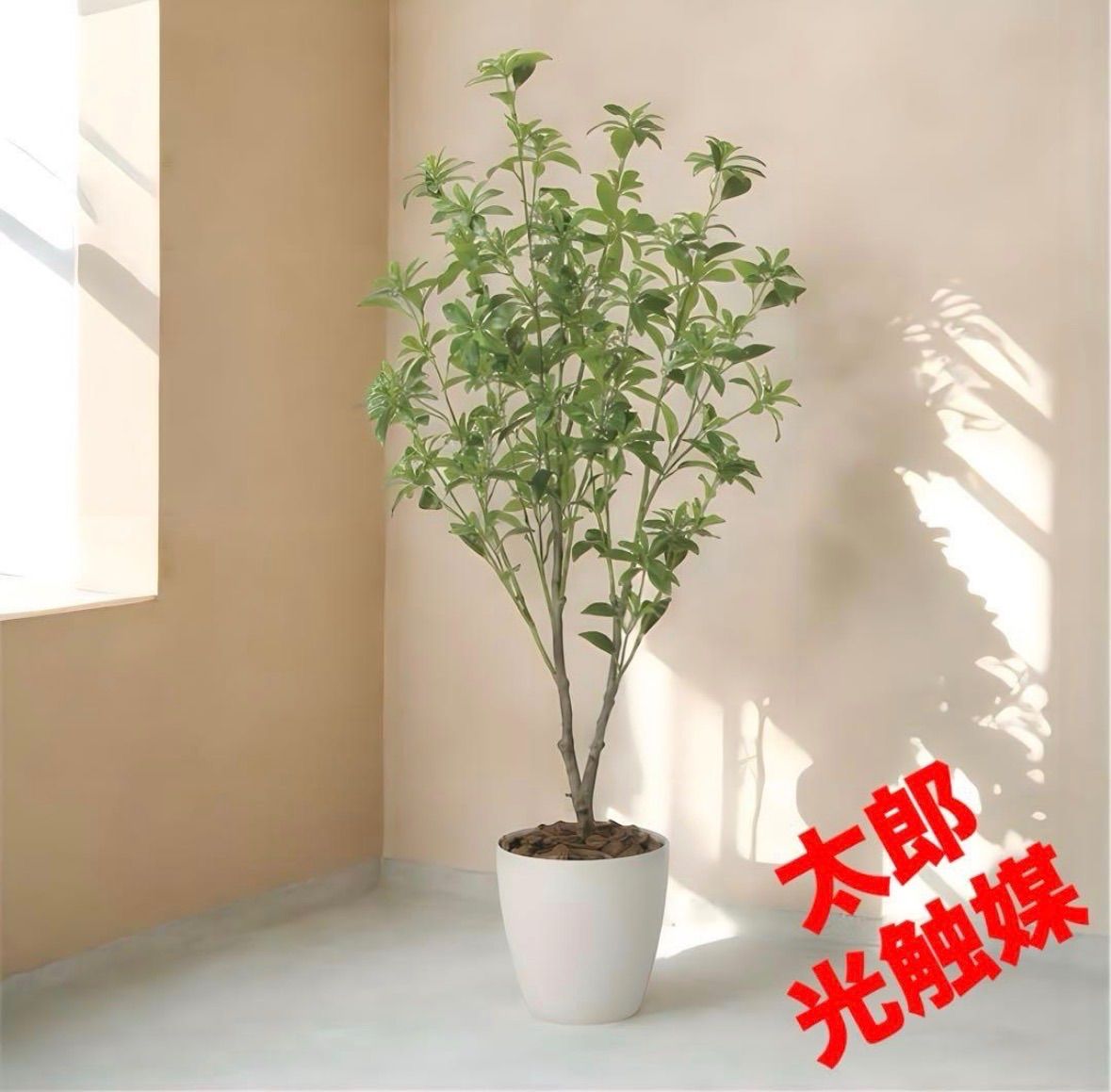 光触媒 人工観葉植物 ウォールグリーン フェイクグリーン フレッシュ