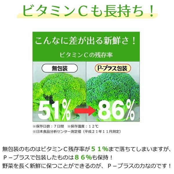 2個セット】やさいエコバッグ Mサイズ 3枚入 2個セット P-プラス