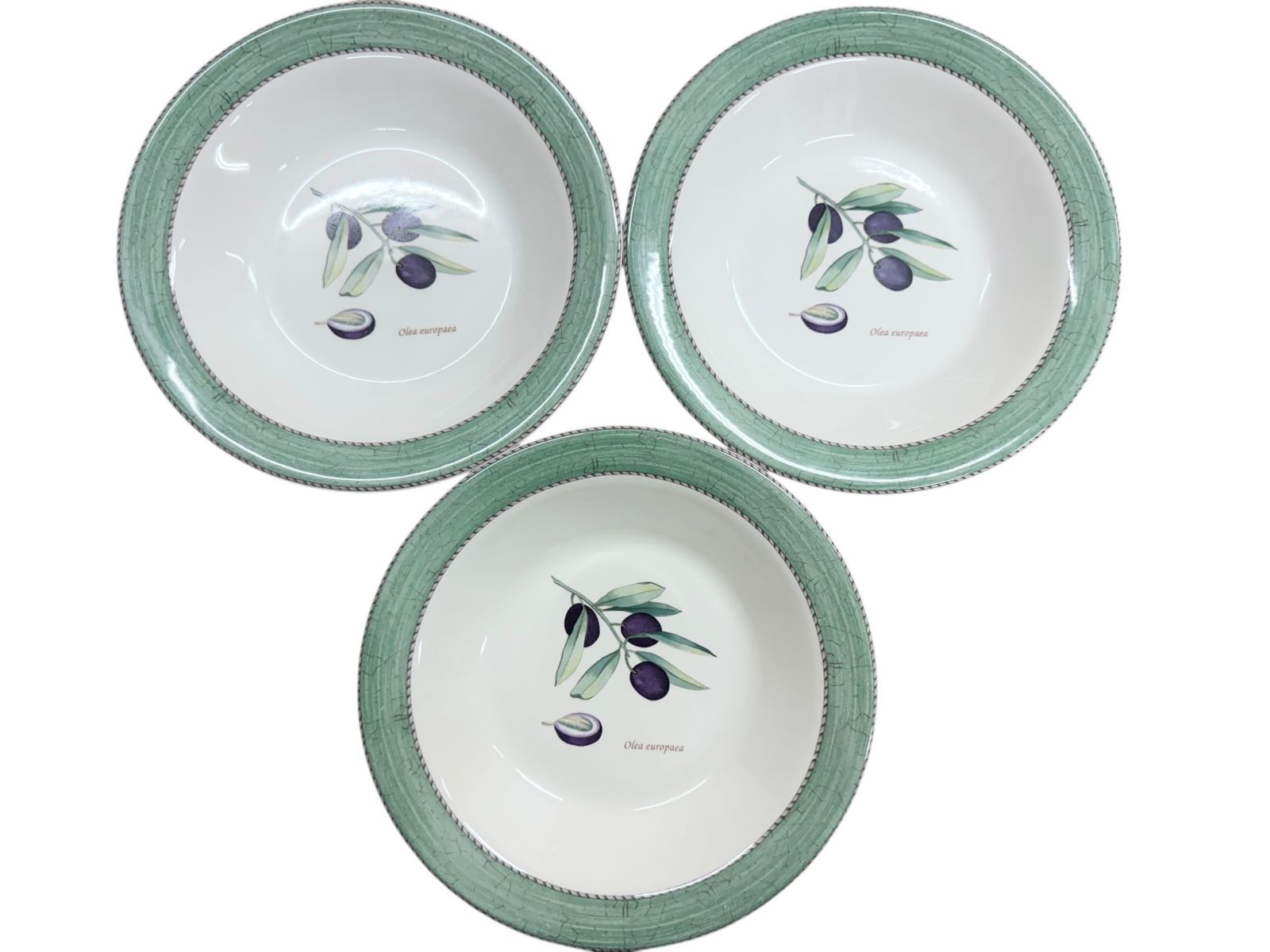 WEDG WOOD オリーブ柄 洋食器 丸皿 直径約26 cm