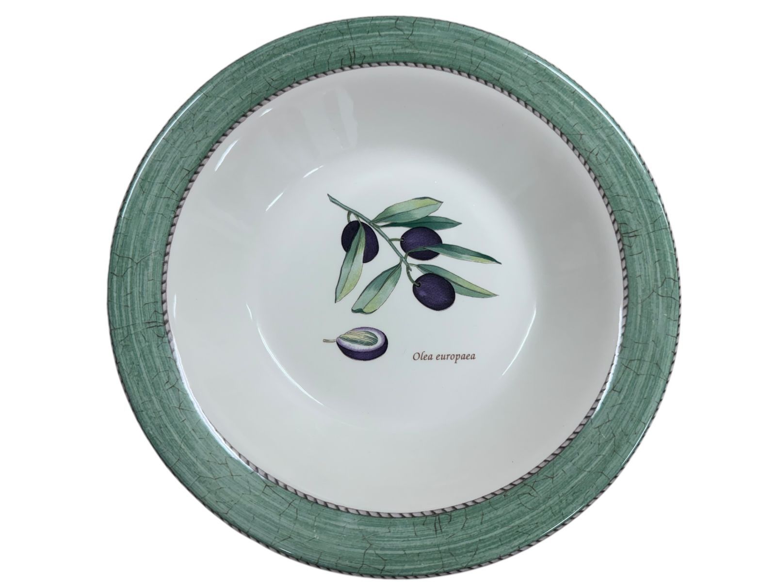 WEDG WOOD オリーブ柄 洋食器 丸皿 直径約26 cm