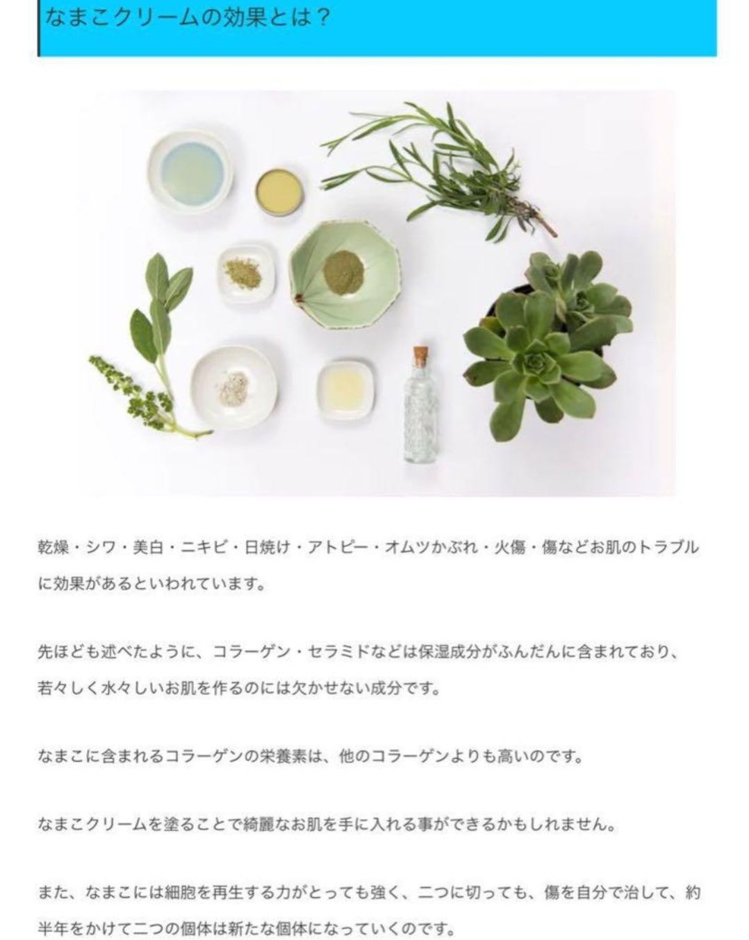 マレーシア産 なまこクリーム 12 個 【 SHAARI 】ランカウイ - メルカリ