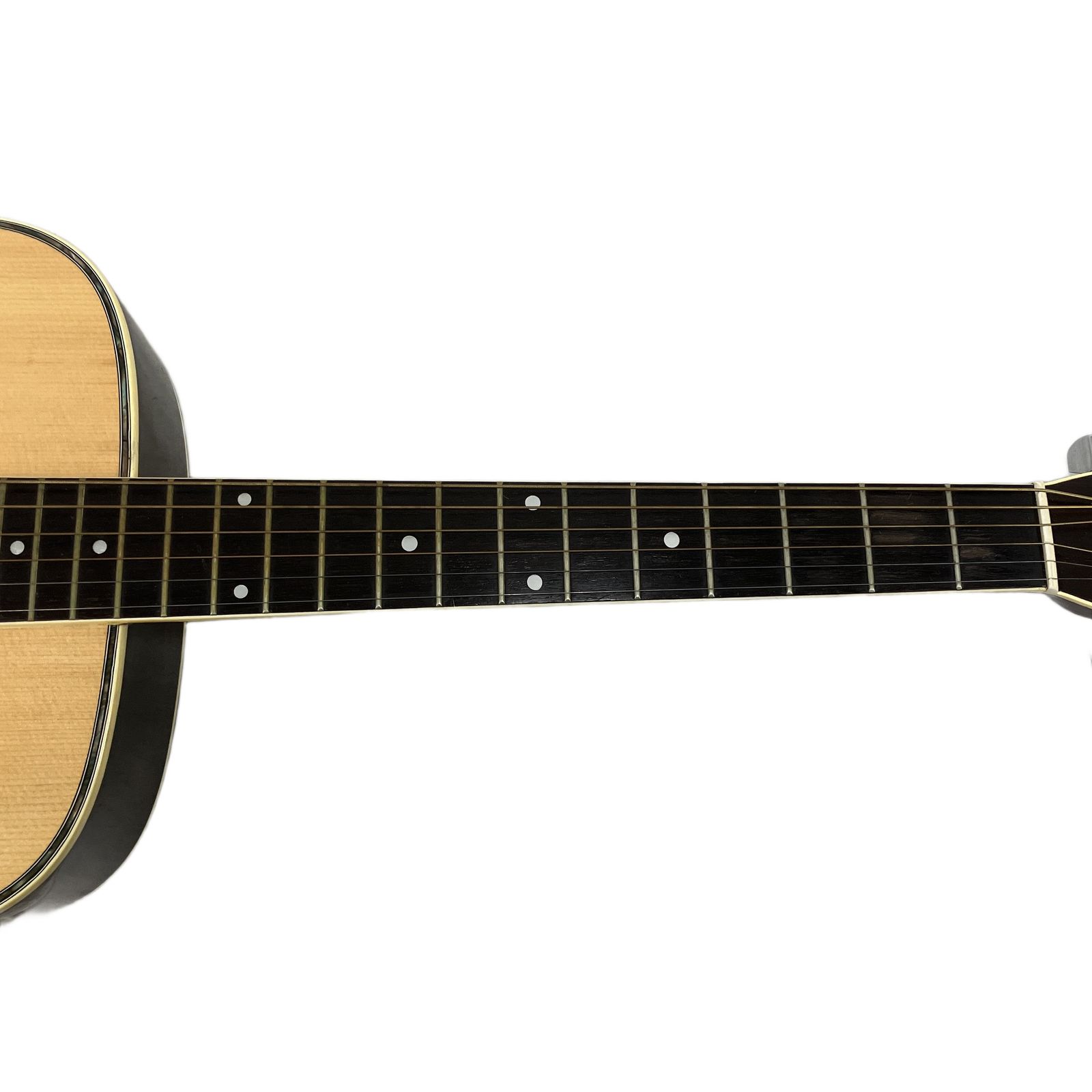 Morris モーリス F-25 アコースティックギター 楽器 モーリス F-25 F-25 | 生産完了品 | MORRIS GUITARS モーリスギター