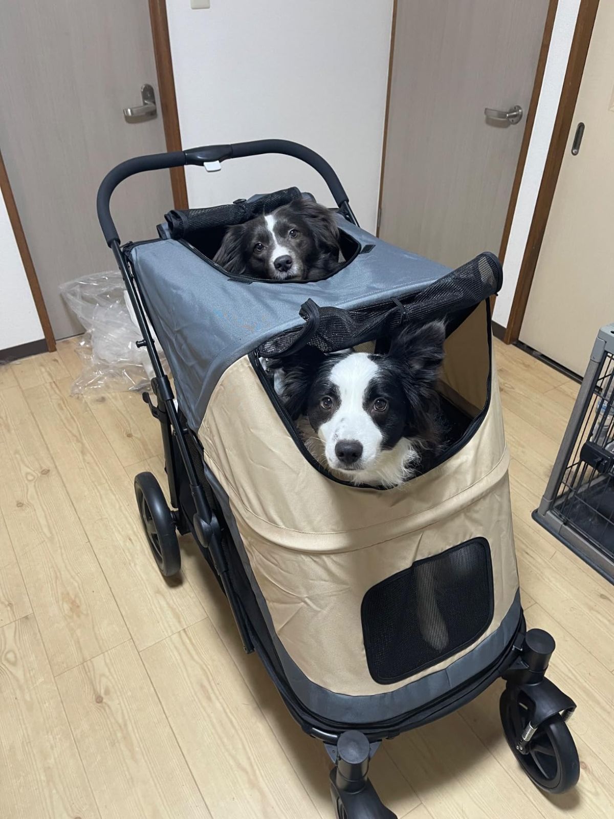 Totoro ball ペットカート大型犬 用カート 犬 バギー 多頭 大型犬