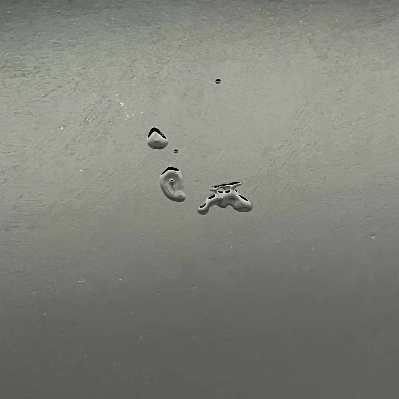 T クリスタルアートパネル 水晶絵 水晶パネル豹 パンサー 虎