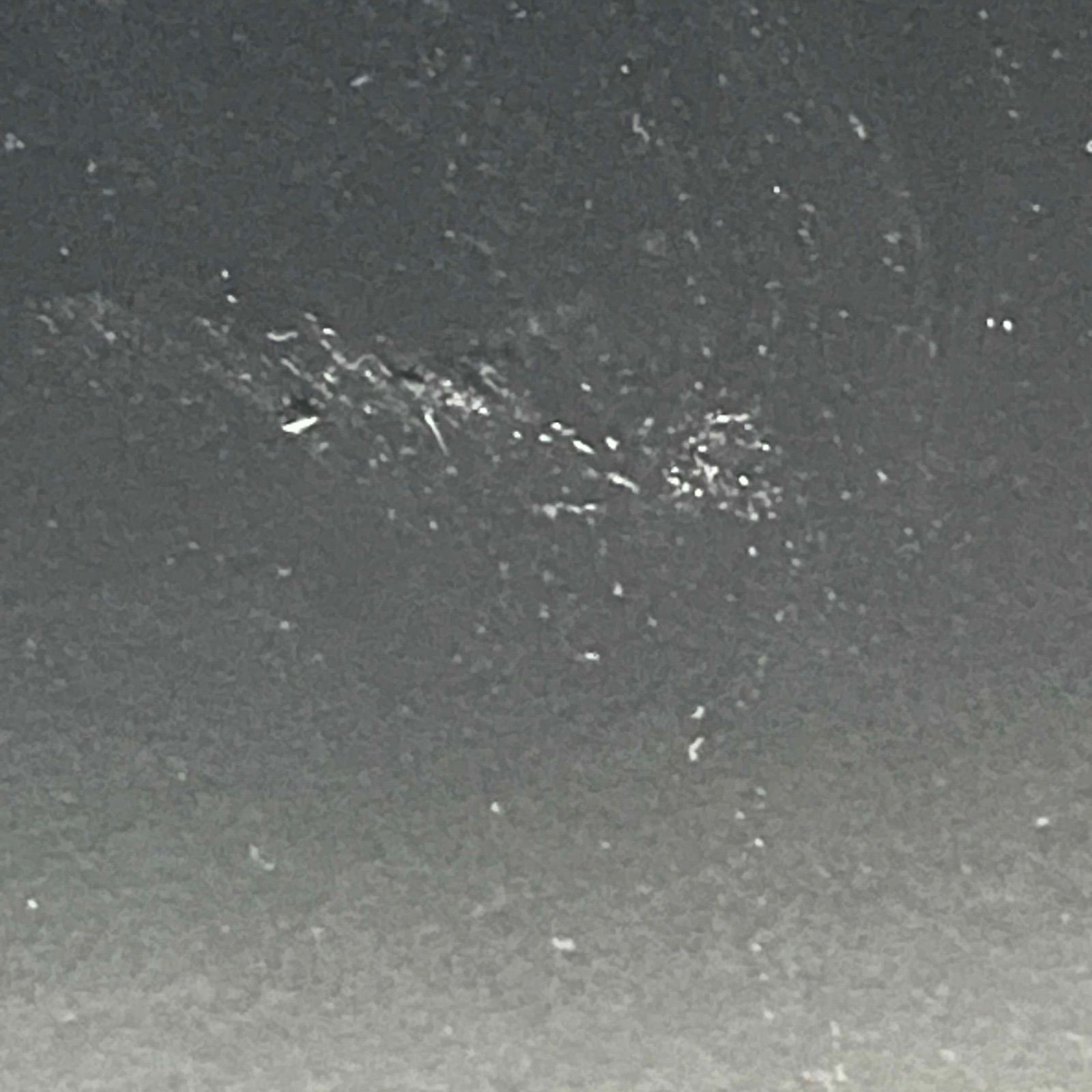 T クリスタルアートパネル 水晶絵 水晶パネル豹 パンサー 虎