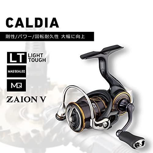 ダイワ(DAIWA) 21 カルディア LT2500 - メルカリ
