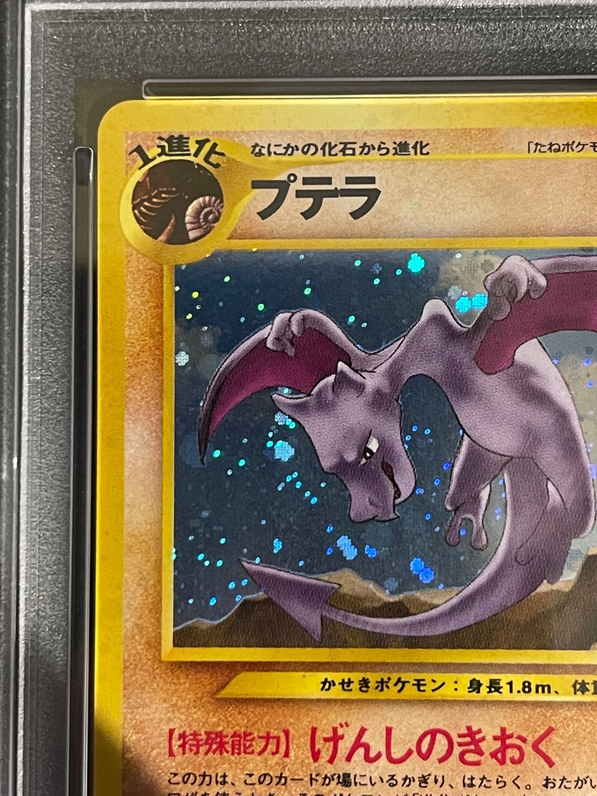 PSA8以下プテラ ☆ : 旧裏 [neo3 PSA9 プテラ 旧裏 neo3 ポケモン 