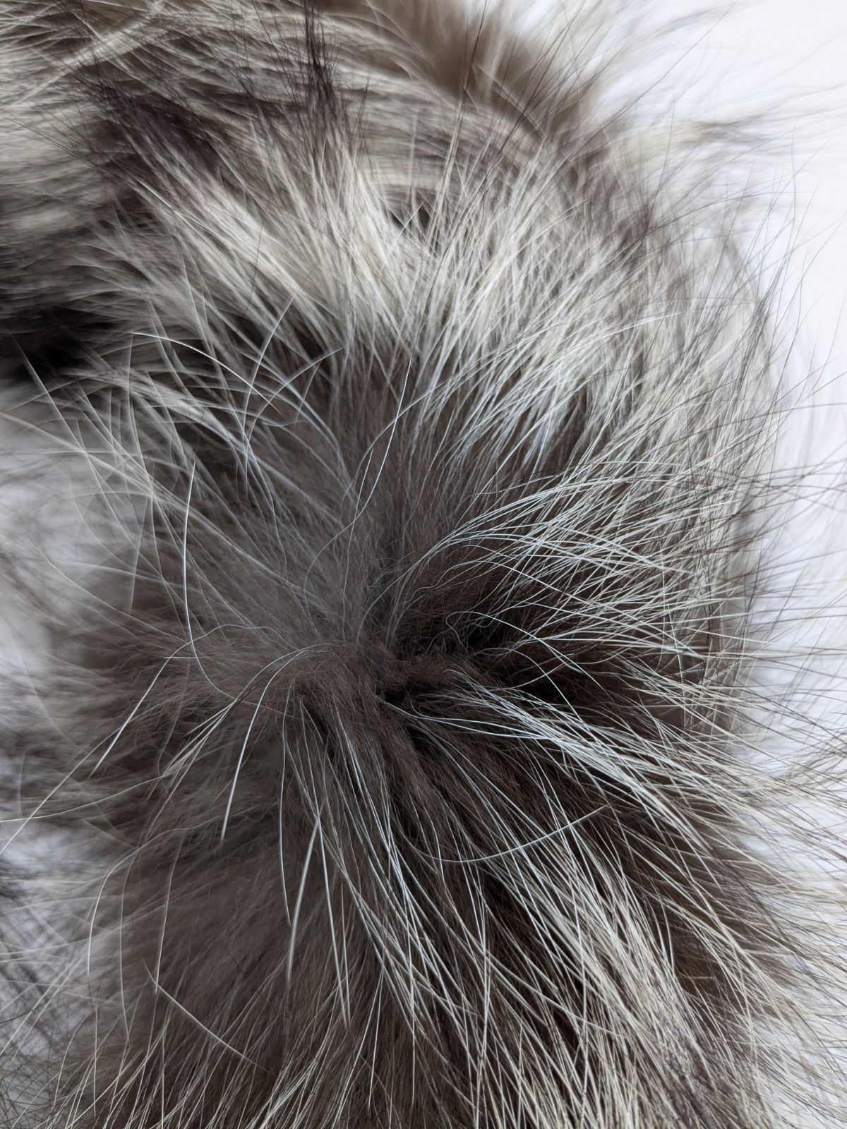 s maxmara CUCITO A MANO クチートアマーノ ファー フード ジレ - メルカリ