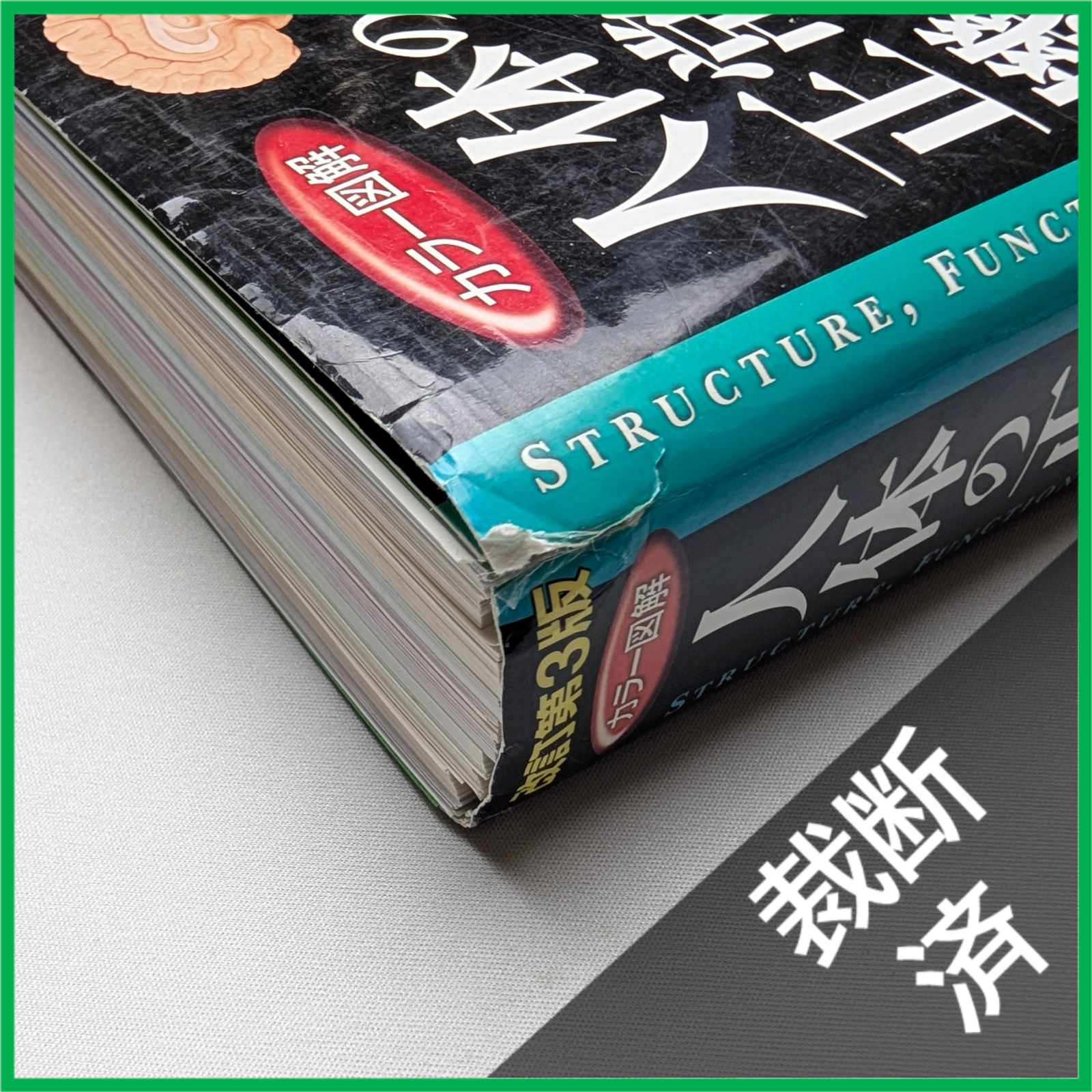 裁断済　人体の正常構造と機能 第5版　シリアルコード未使用 裁断済】 カラー図解 人体の正常構造と機能 全10巻縮刷版 [大型