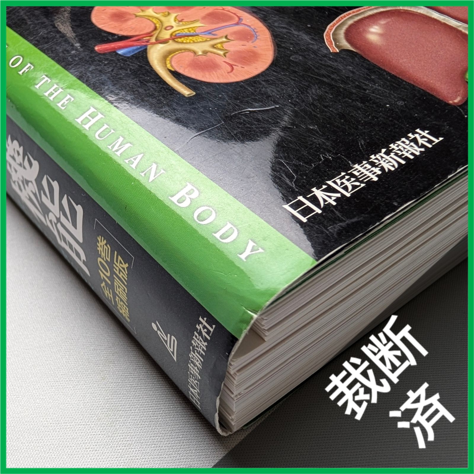 裁断済　人体の正常構造と機能 第5版　シリアルコード未使用 裁断済】 カラー図解 人体の正常構造と機能 全10巻縮刷版 [大型