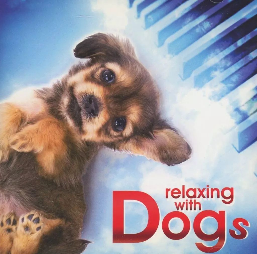 CD Relaxing Music With Dog ソニーミュージック 中古品 CD Relaxing Music With Dog ソニーミュージック 中古品 CD Relaxing