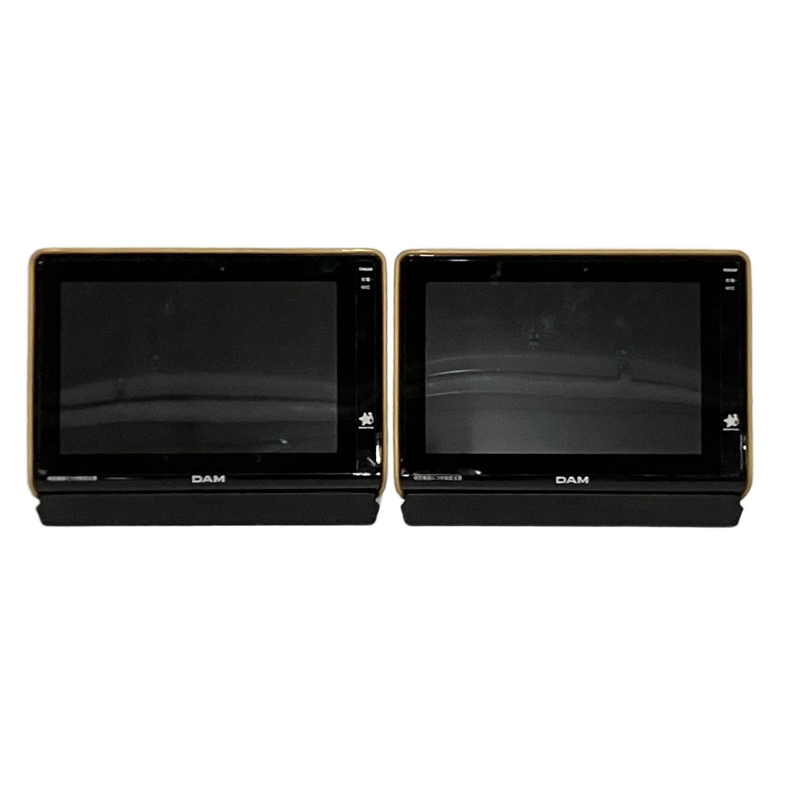 第一興商 SmartDAM TM20 デンモク スマート ダム 2個セット 音響機材