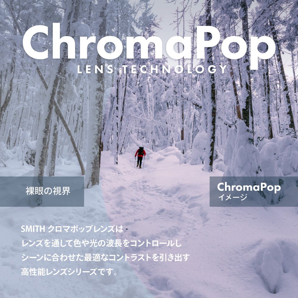 スミス スノーゴーグル スカイライン XL ローブリッジフィット