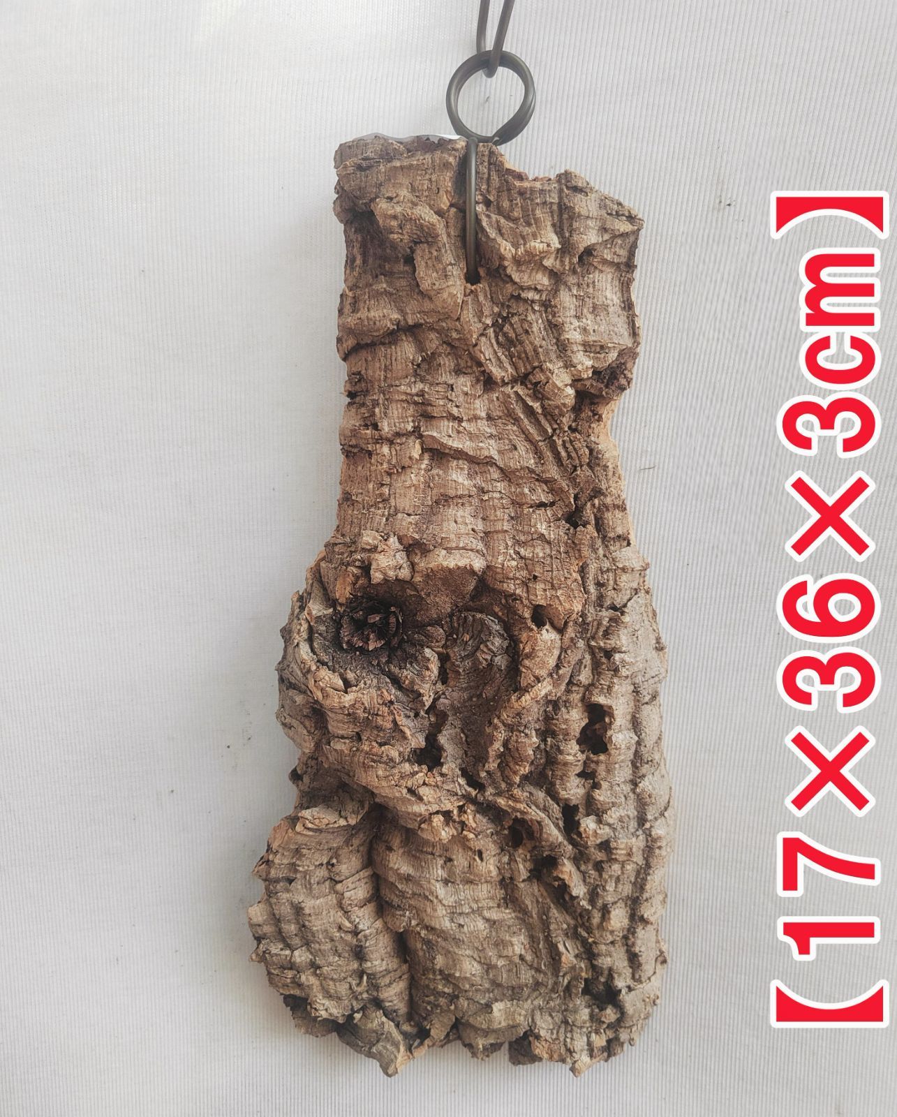 B393 ポルトガル産 厚め コルク樹皮 コルク板 バージンコルク 送料無料