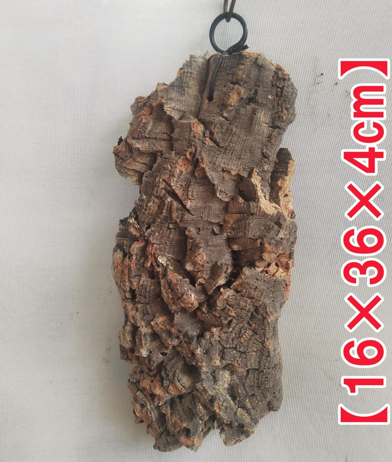 ポルトガル産コルク樹皮 ＰＬ-1002-103Ｌ B394 ポルトガル産 厚め コルク樹皮 コルク板 バージンコルク 送料無料