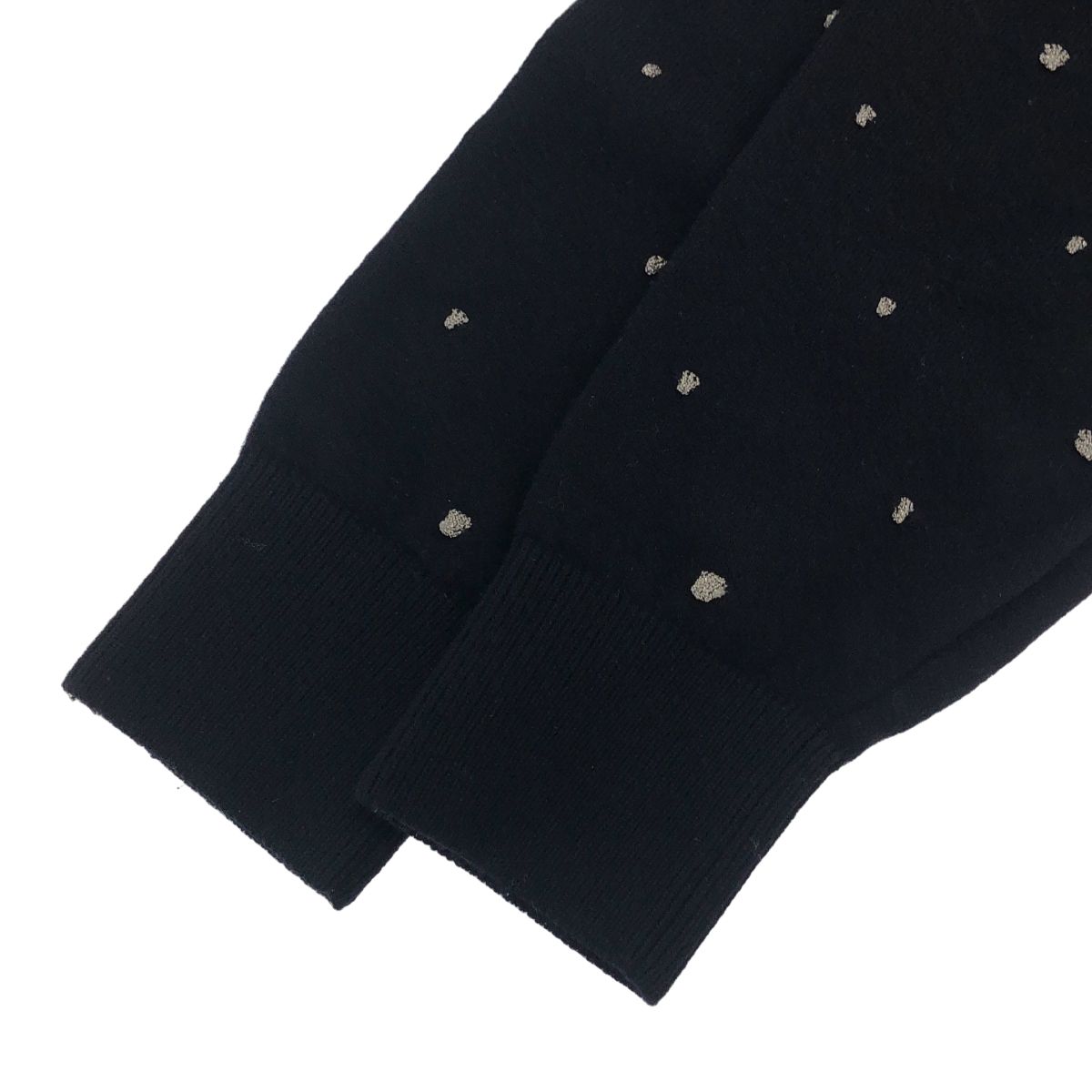 ssstein シュタイン 24AW GLITTER DOTS CREW NECK LS グリッタードット