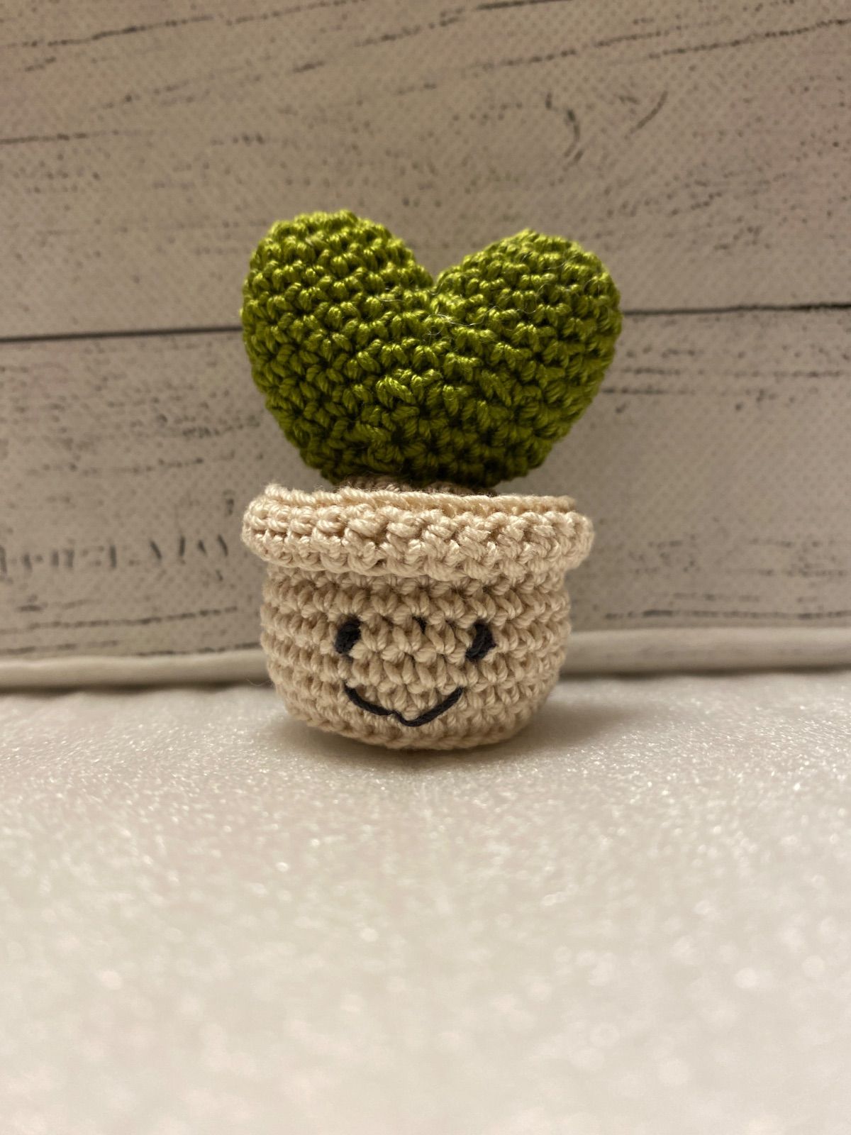 ハンドメイド あみぐるみ ぬいぐるみ サボテン 多肉植物 ハート