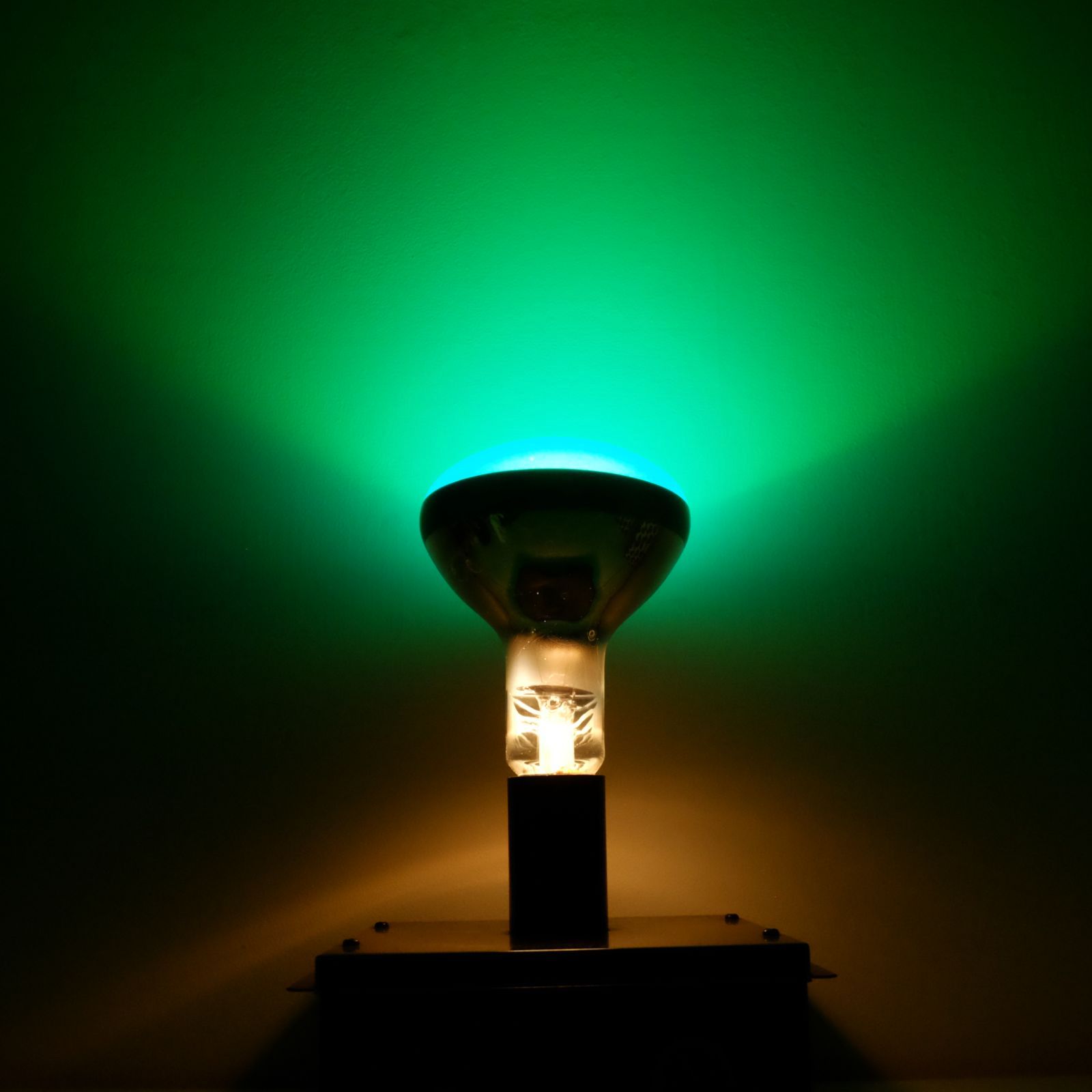 TOKI 東芝ライテック株式会社 カラーレフランプ グリーン 100V 100W