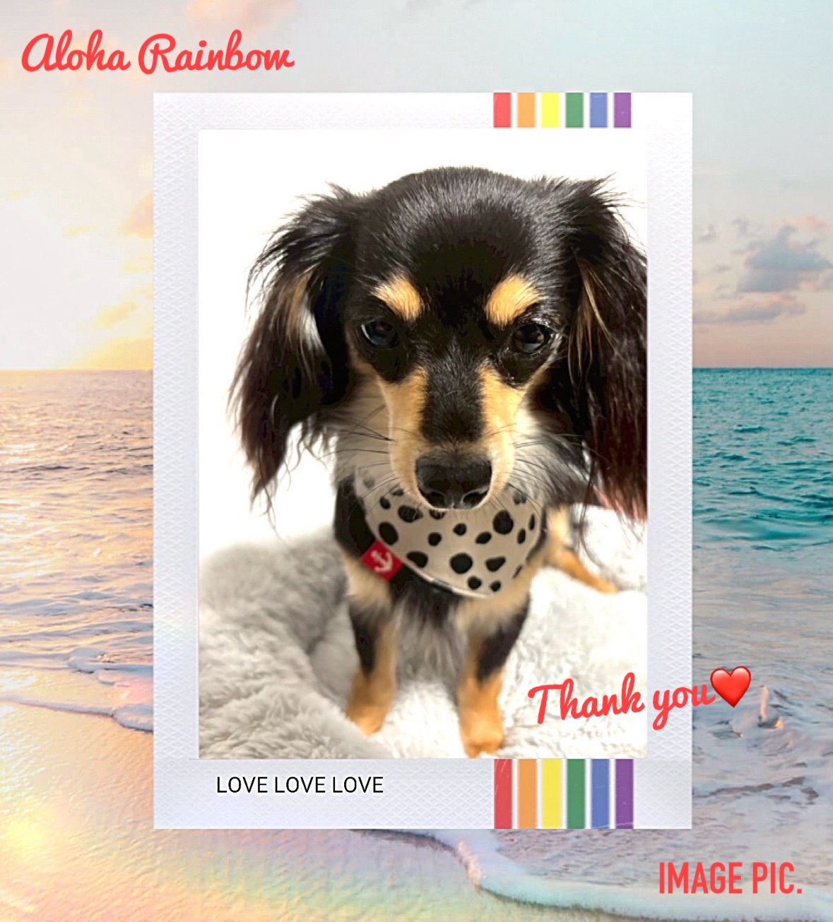 ☘️No.2652☘️ 犬猫用 リバーシブル バンダナ スタイ XSサイズ 花柄