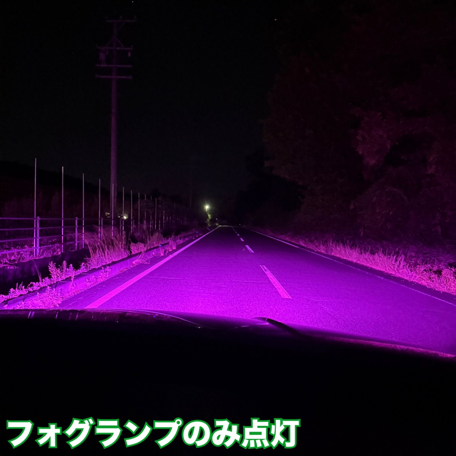 爆光！ H8/H11/H16用 パープルピンク フォグランプ！ピンク パープル