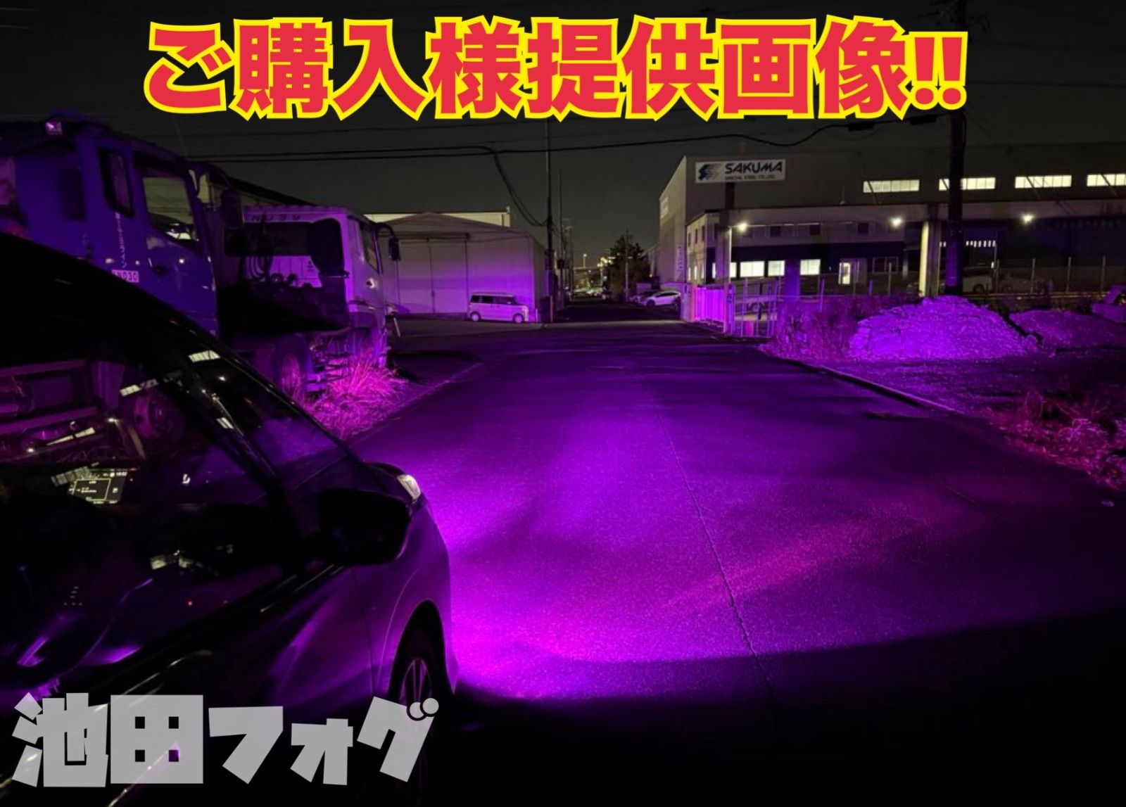 爆光！ H8/H11/H16用 パープルピンク フォグランプ！ピンク パープル