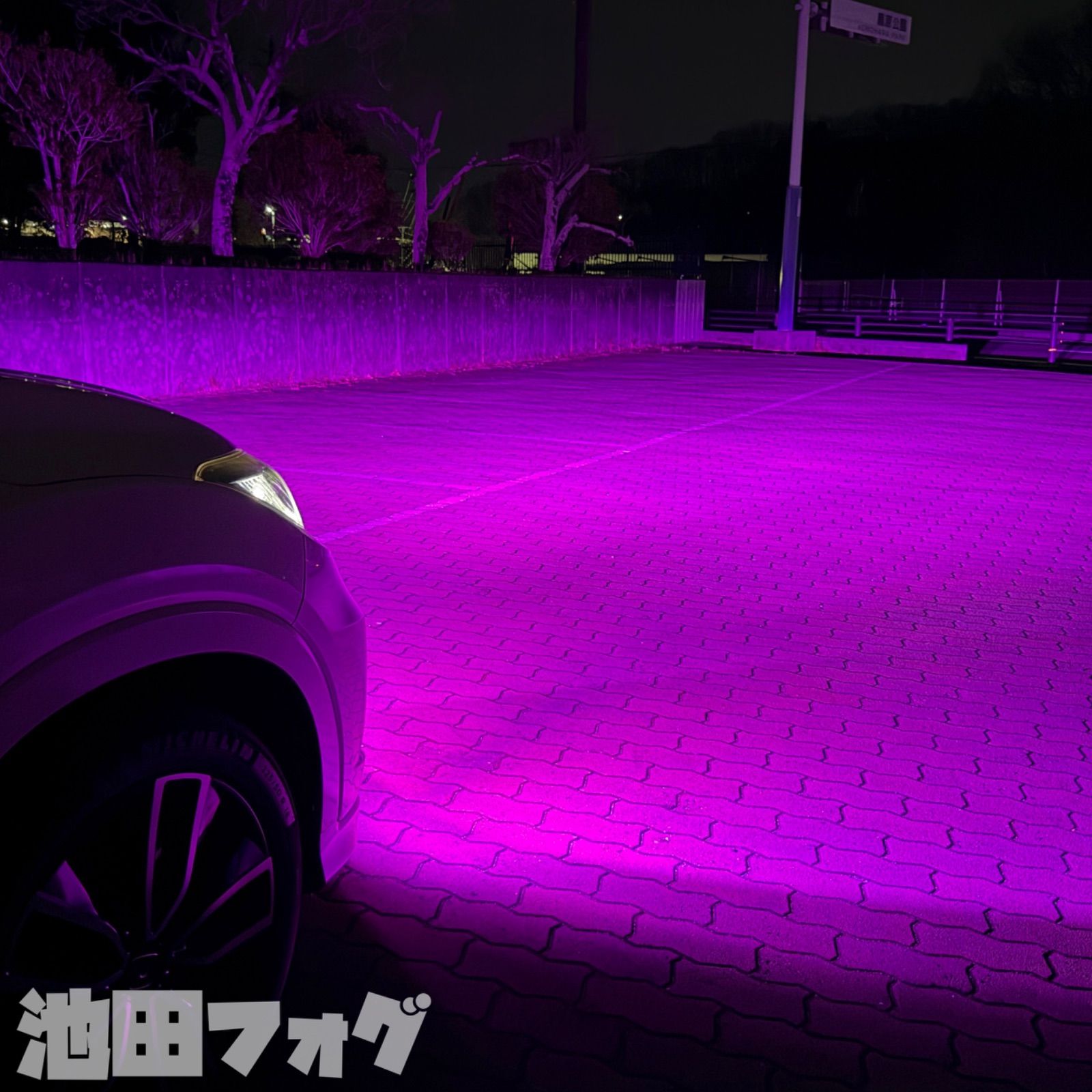 爆光！ H8/H11/H16用 パープルピンク フォグランプ！ピンク パープル