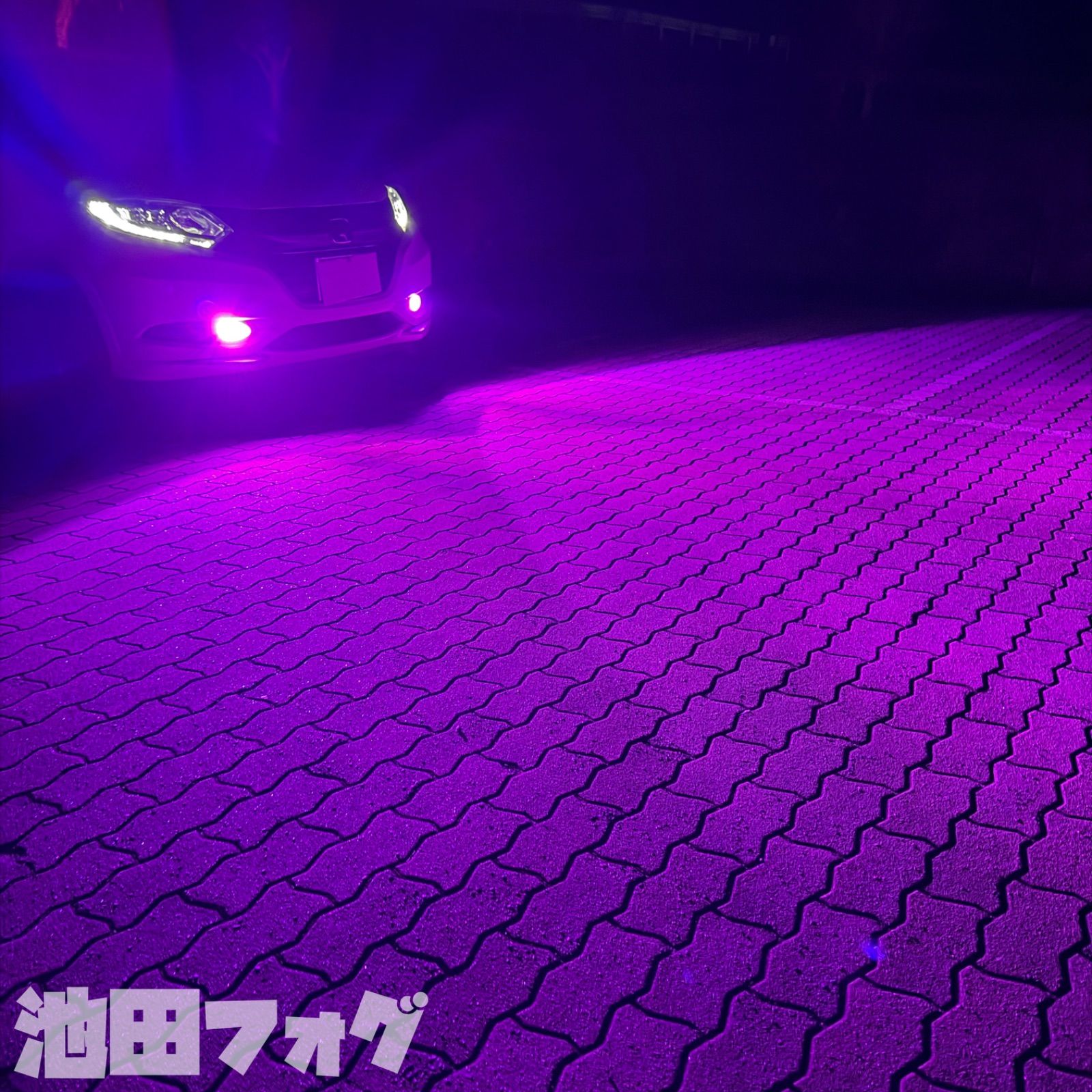 爆光！ H8/H11/H16用 パープルピンク フォグランプ！ピンク パープル