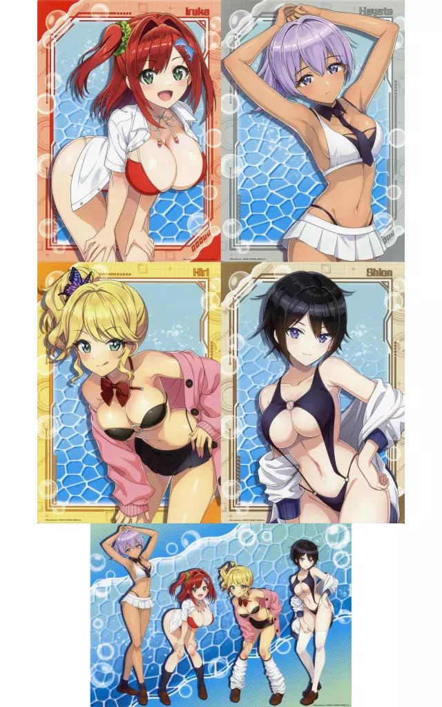 中古】紙製品 全5種セット A3ビジュアルパネル 「WEBくじ ドルフィン