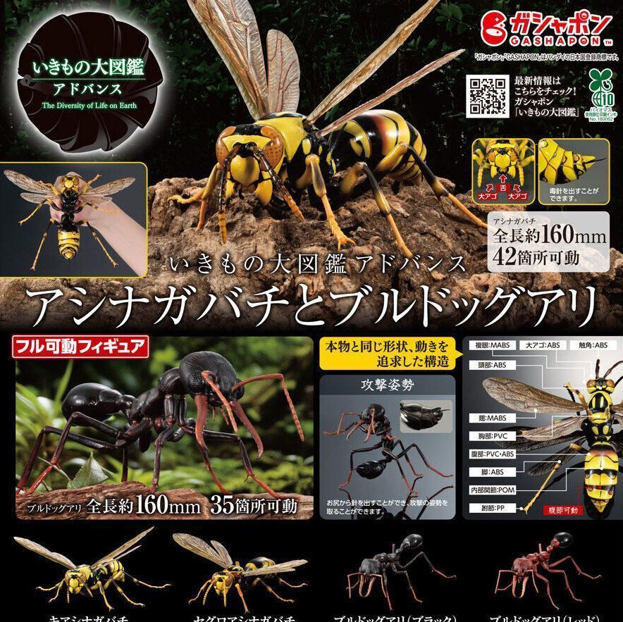 いきもの大図鑑アドバンス アシナガバチとブルドックアリ 【全4種