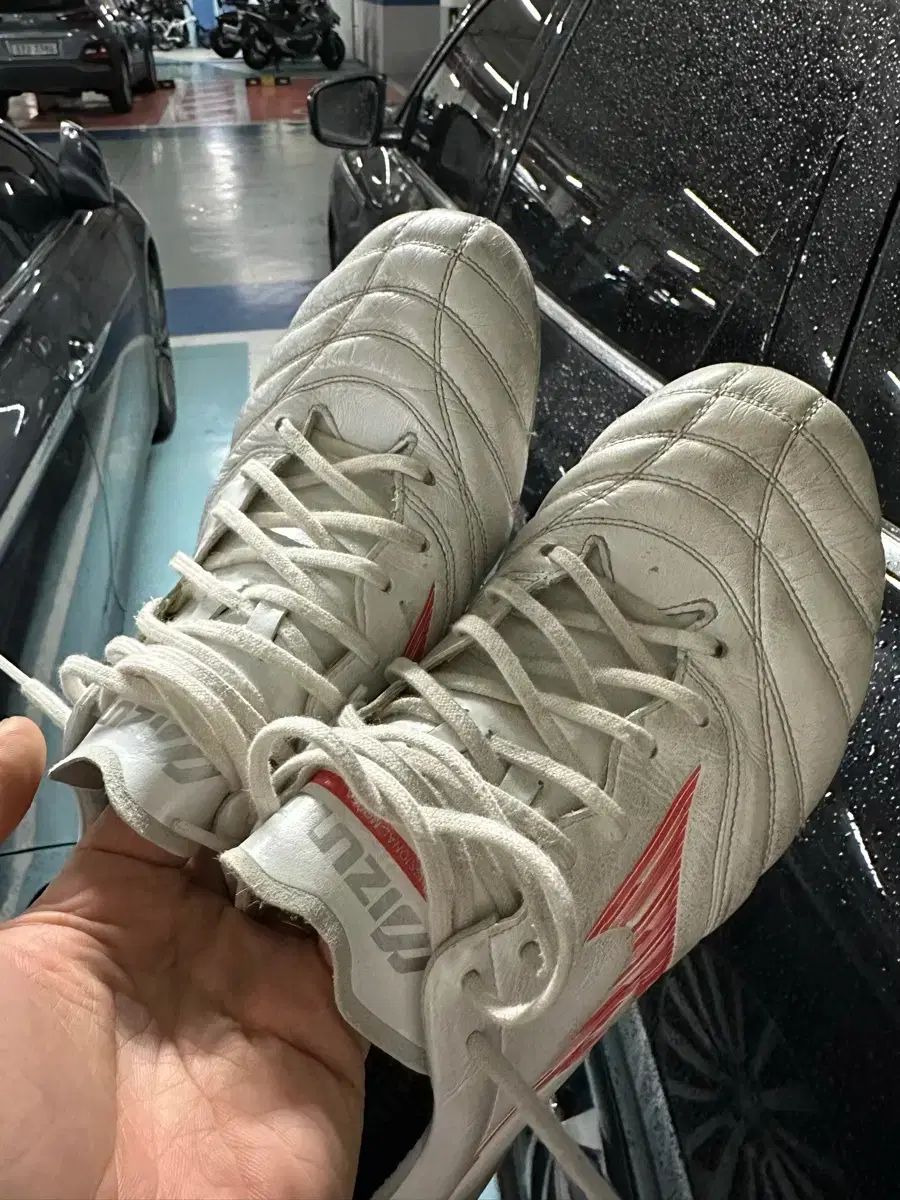 モレリアNEO エリート 270 サイズ 出品