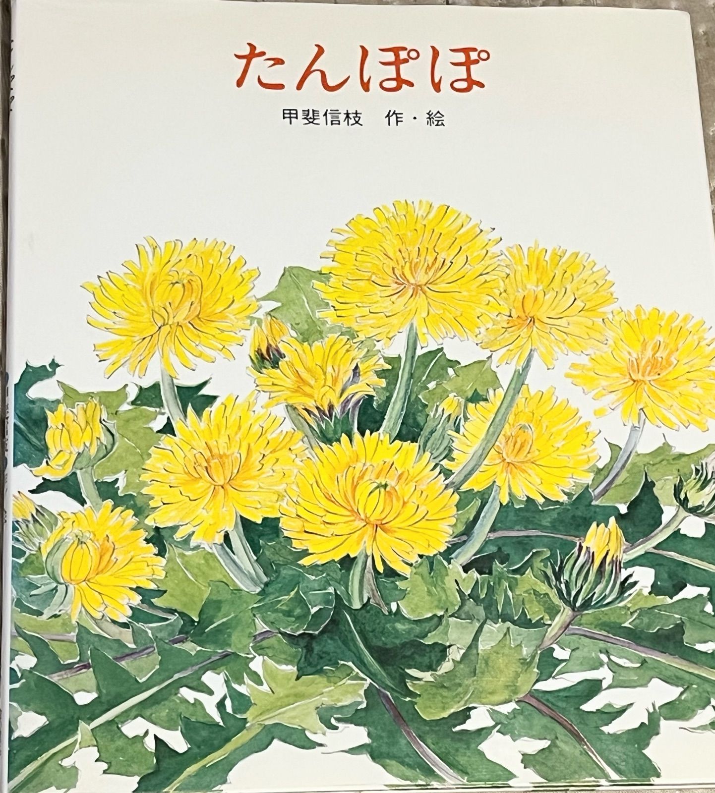 たんぽぽ／甲斐信枝 - メルカリ