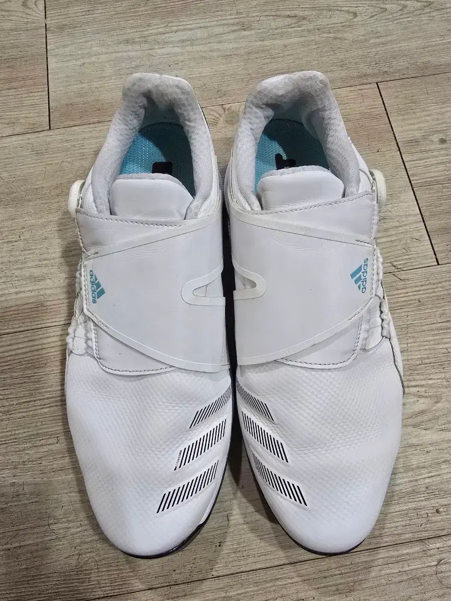 アディダス ゴルフ ZG21 BoA（ボア） ゴルフシューズ 275mm - メルカリ