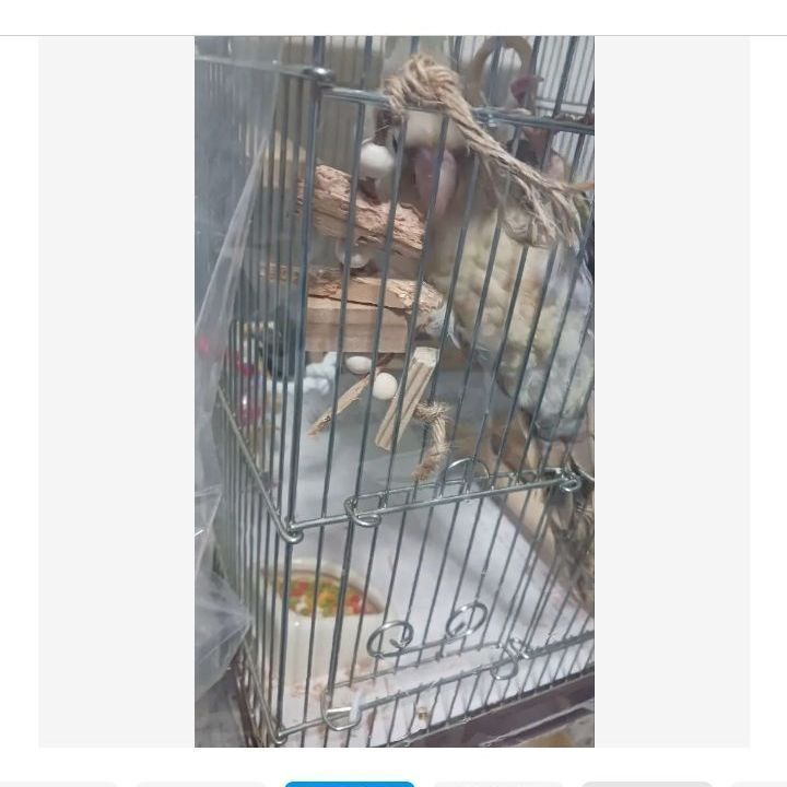 kk3 インコ オオム カジカジ、ガジガジおもちゃセット かじり木 - メルカリ