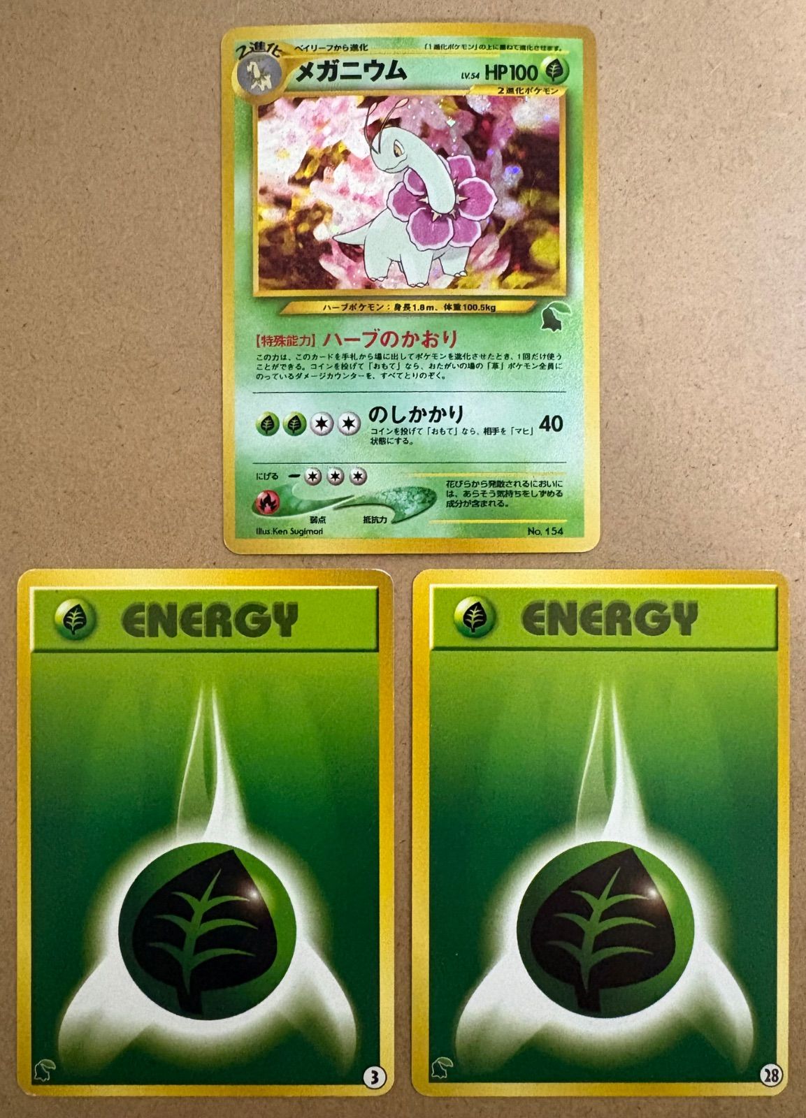 イントロパックneoのメガニウム＆草エネルギー3＆28(チコリータマーク