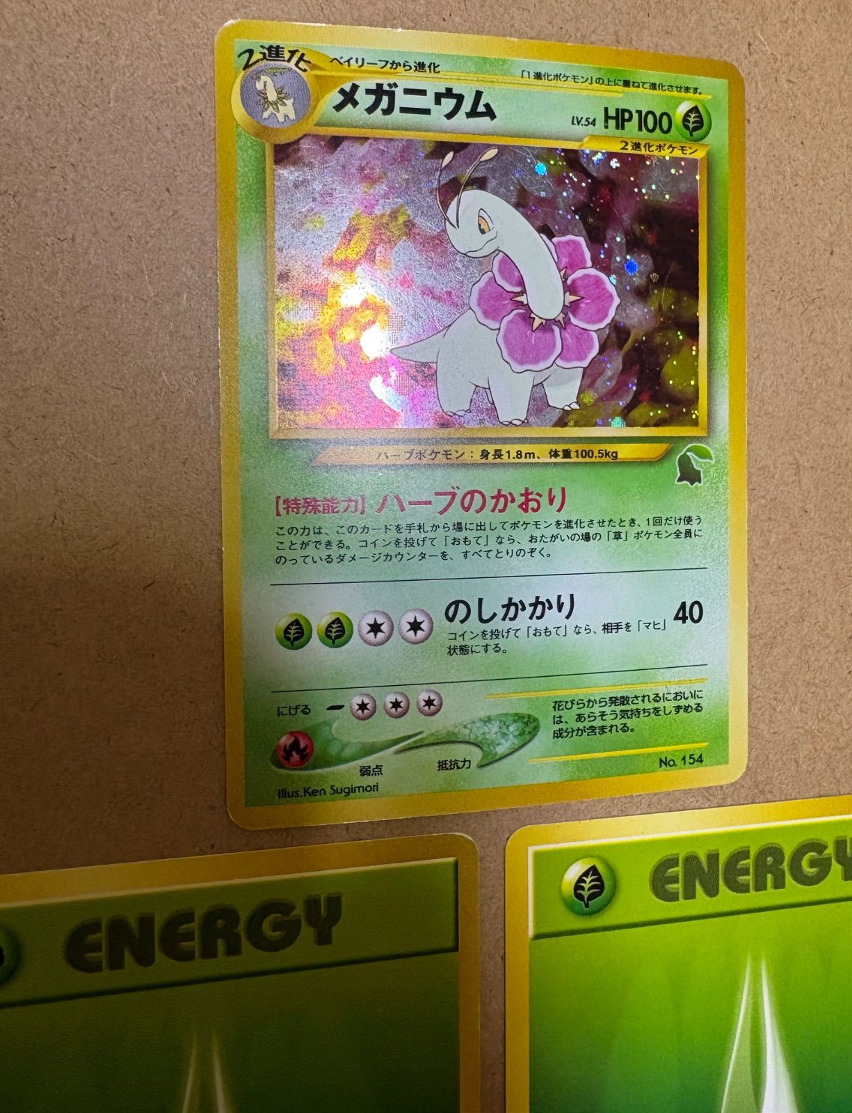 イントロパックneoのメガニウム＆草エネルギー3＆28(チコリータマーク