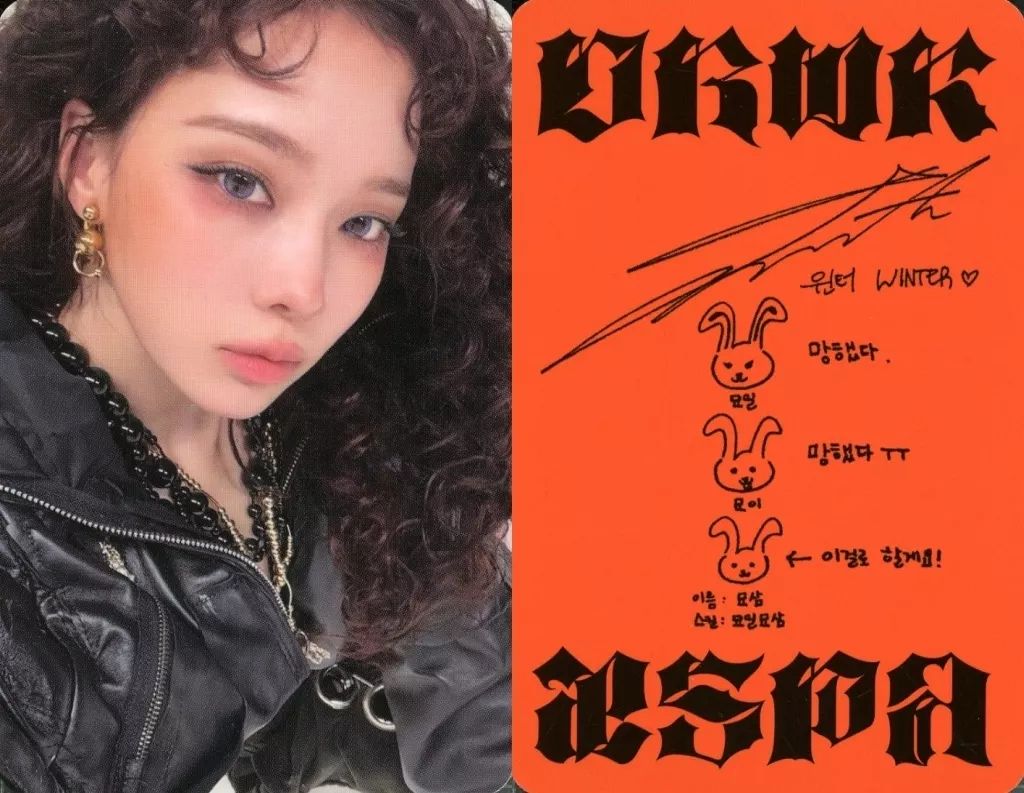 aespa タレントカード 30周年記念　ウィンター　winter SM ENTERTAINMENT 30周年 E賞 トレカ ウィンター aespa aespa sm 30