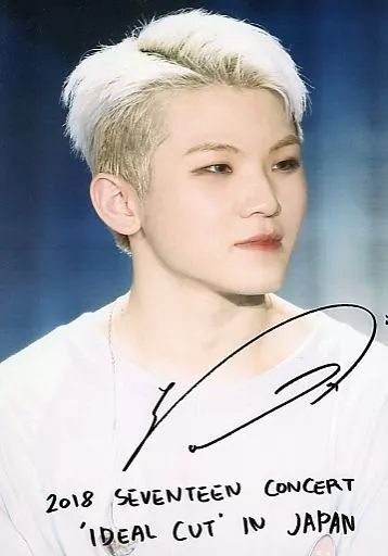 seventeenセブチ ウジ　生写真 中古】生写真(男性) SEVENTEEN/WOOZI(ウジ)/ライブフォト・印刷サイン