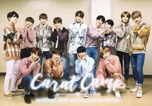 SEVENTEEN CARAT盤 全員 13人 コンプリート セット SEVENTEEN CARAT盤 全員 13人 コンプリート セット SEVENTEEN CARAT盤