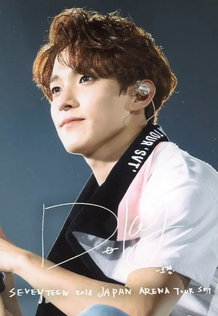 中古】生写真(男性) SEVENTEEN/DK(ドギョム)/ライブフォト・印刷サイン