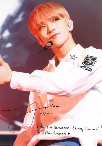 SEVENTEEN fml キャンペーン　サイン　生写真　ジョシュア SEVENTEEN ジョシュア サイン アメリカ限定 アルバムFMLトレカセット