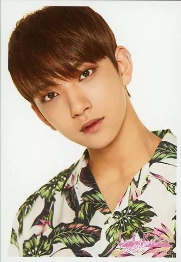 中古】生写真(男性) SEVENTEEN/JOSHUA(ジョシュア)/バストアップ